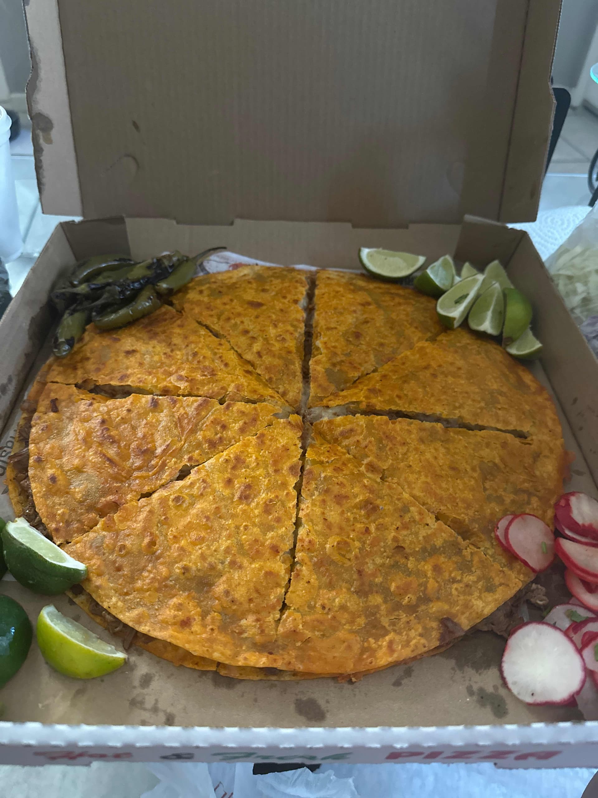 Birria Pizza Large